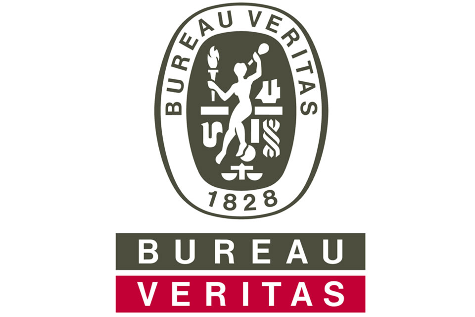 BSI Inspectorate